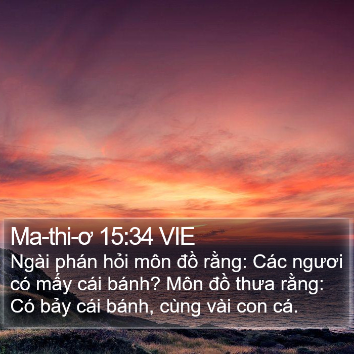 Ma-thi-ơ 15:34 VIE Bible Study