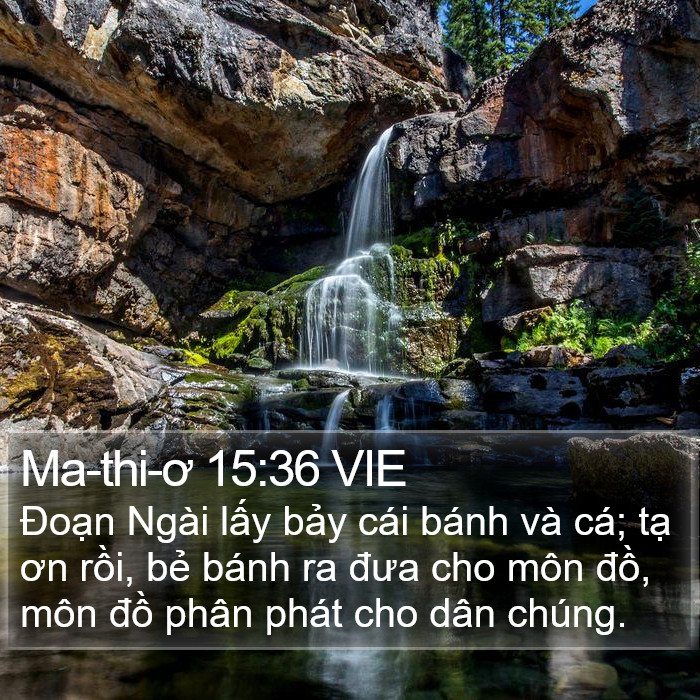 Ma-thi-ơ 15:36 VIE Bible Study