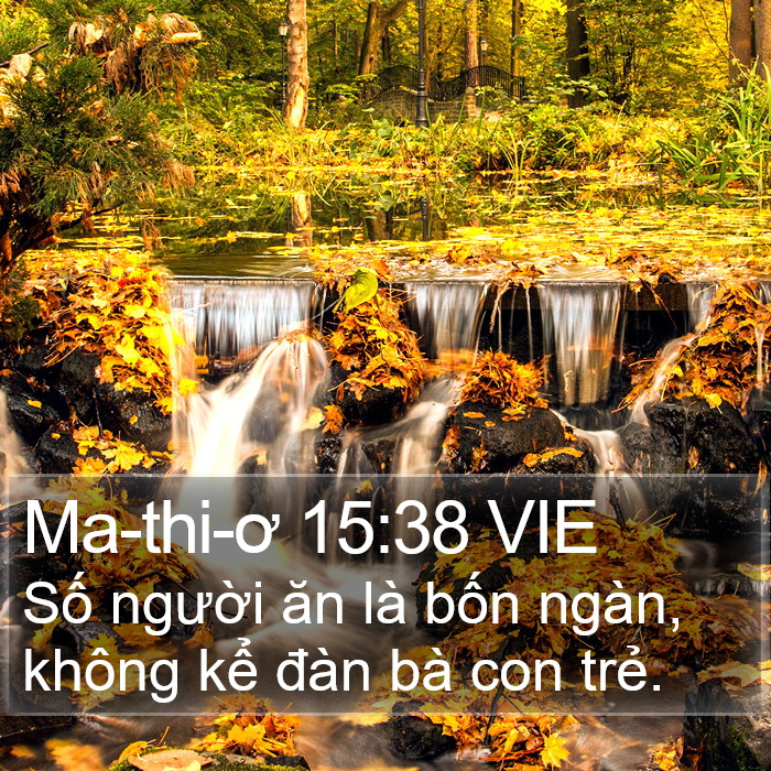 Ma-thi-ơ 15:38 VIE Bible Study