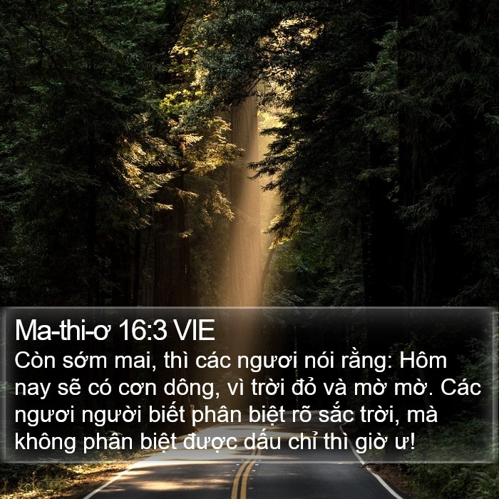 Ma-thi-ơ 16:3 VIE Bible Study