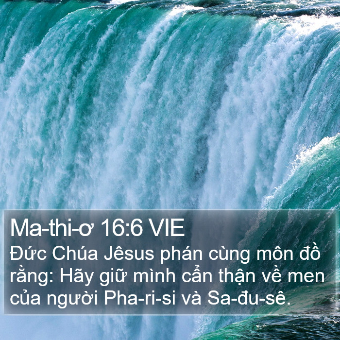 Ma-thi-ơ 16:6 VIE Bible Study