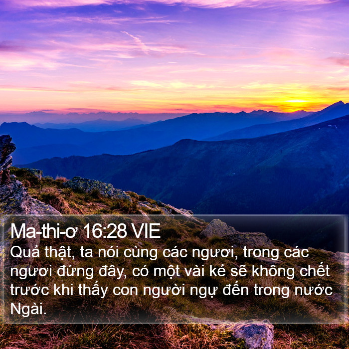 Ma-thi-ơ 16:28 VIE Bible Study