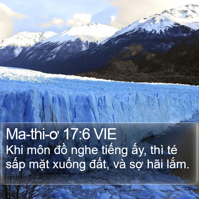 Ma-thi-ơ 17:6 VIE Bible Study