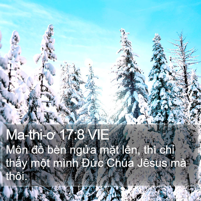 Ma-thi-ơ 17:8 VIE Bible Study