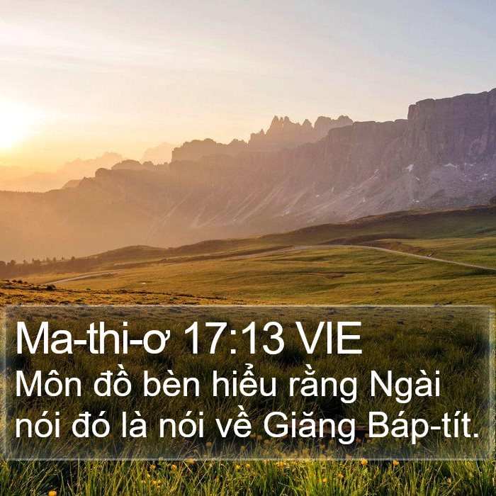 Ma-thi-ơ 17:13 VIE Bible Study