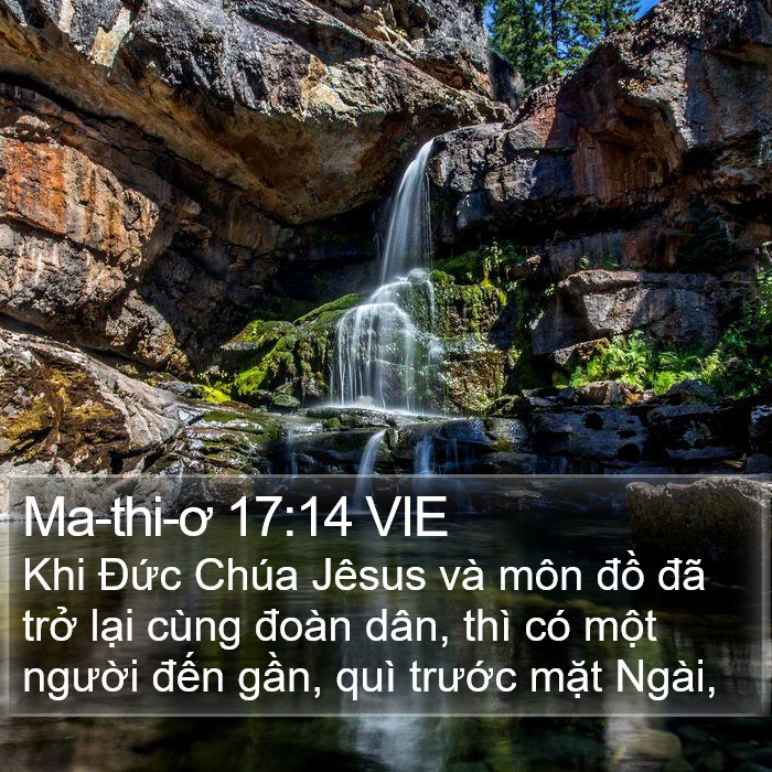 Ma-thi-ơ 17:14 VIE Bible Study
