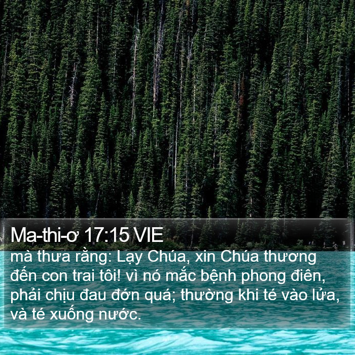 Ma-thi-ơ 17:15 VIE Bible Study