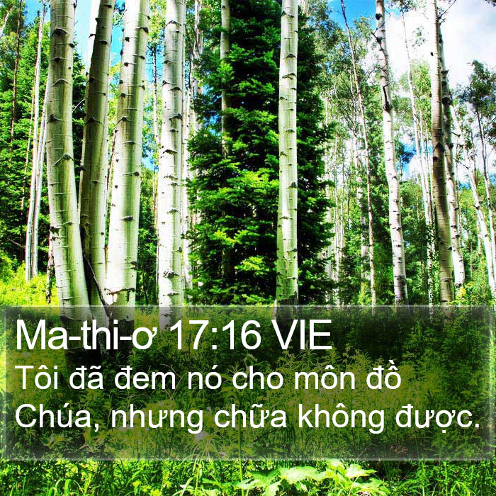 Ma-thi-ơ 17:16 VIE Bible Study