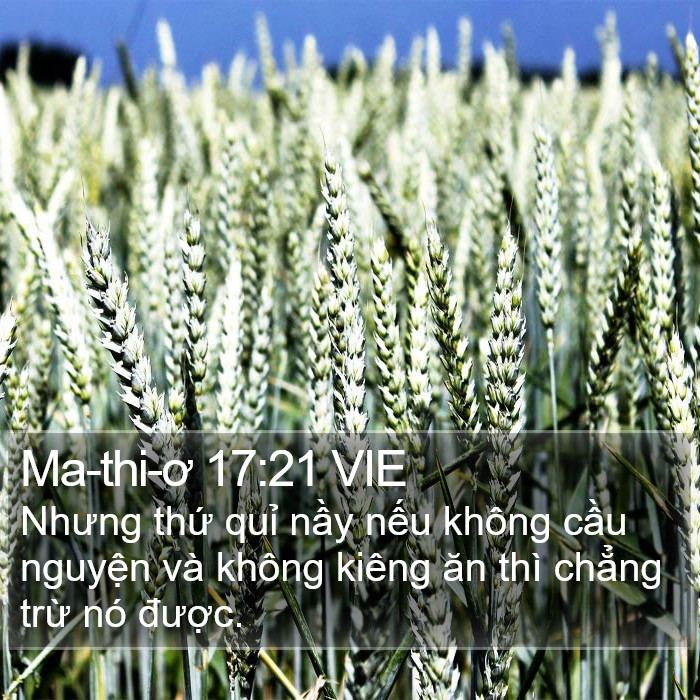Ma-thi-ơ 17:21 VIE Bible Study