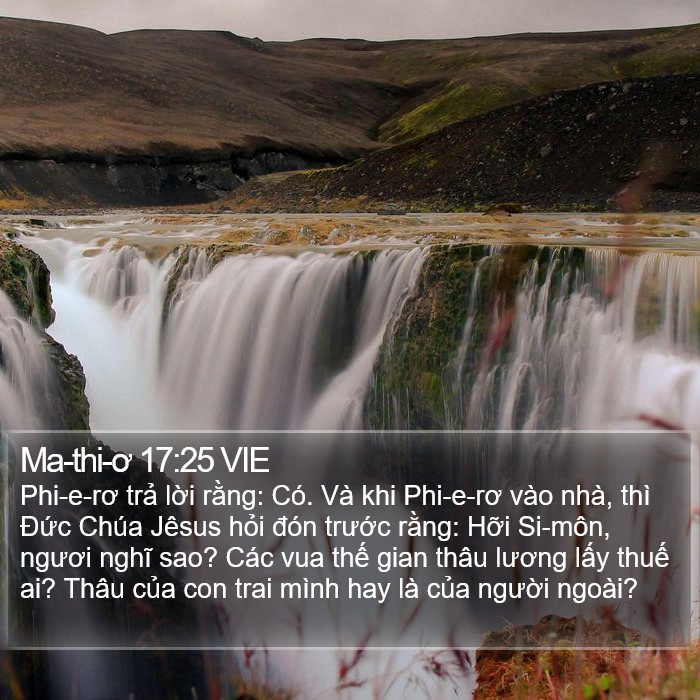 Ma-thi-ơ 17:25 VIE Bible Study