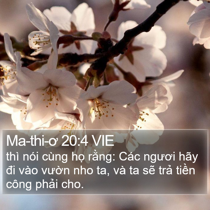 Ma-thi-ơ 20:4 VIE Bible Study