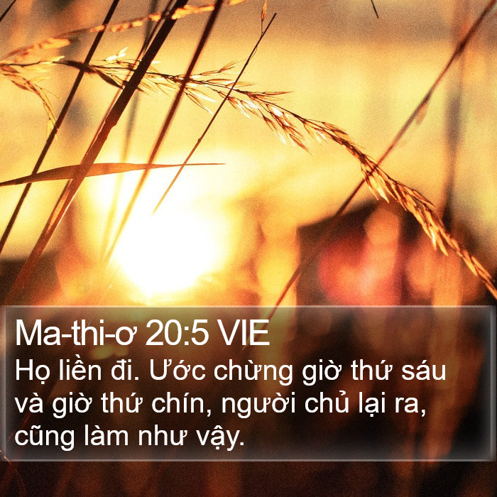 Ma-thi-ơ 20:5 VIE Bible Study