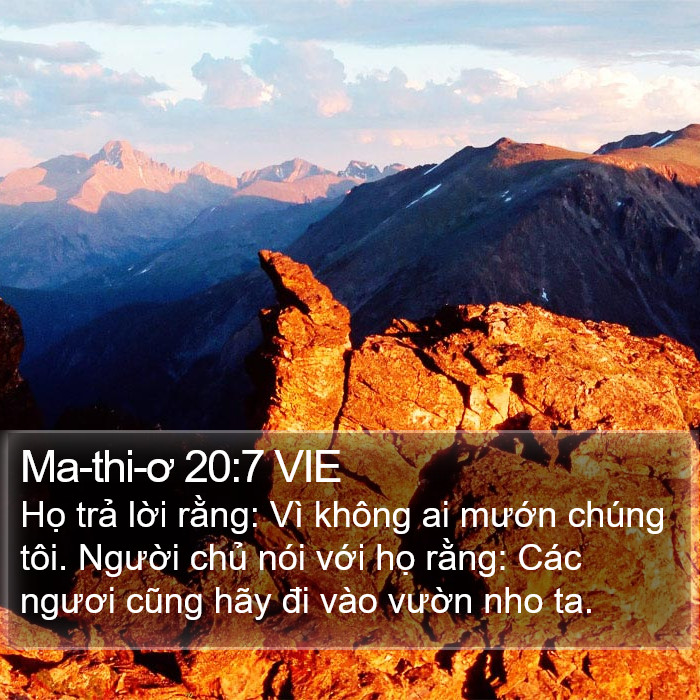 Ma-thi-ơ 20:7 VIE Bible Study