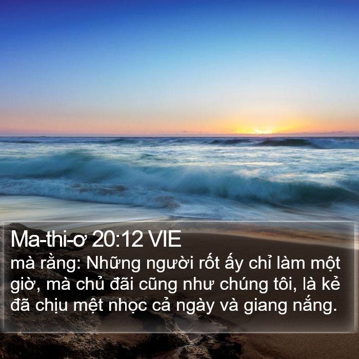 Ma-thi-ơ 20:12 VIE Bible Study