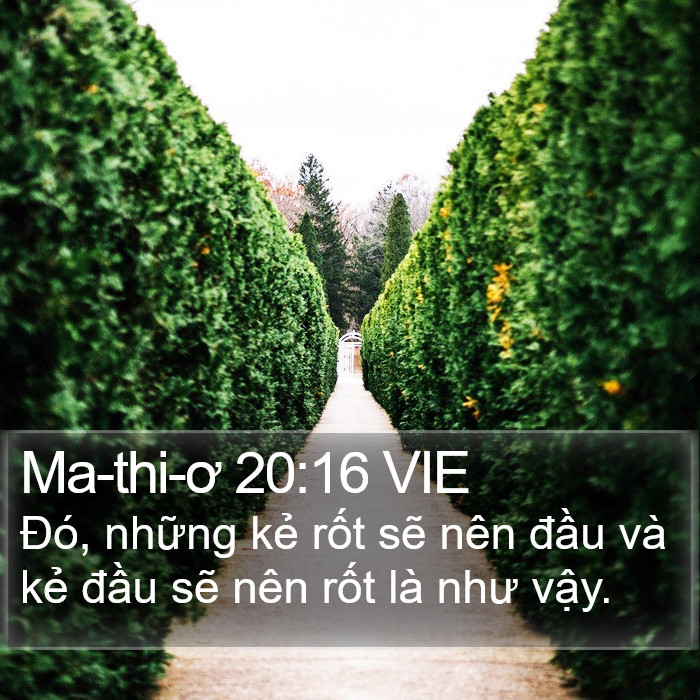 Ma-thi-ơ 20:16 VIE Bible Study