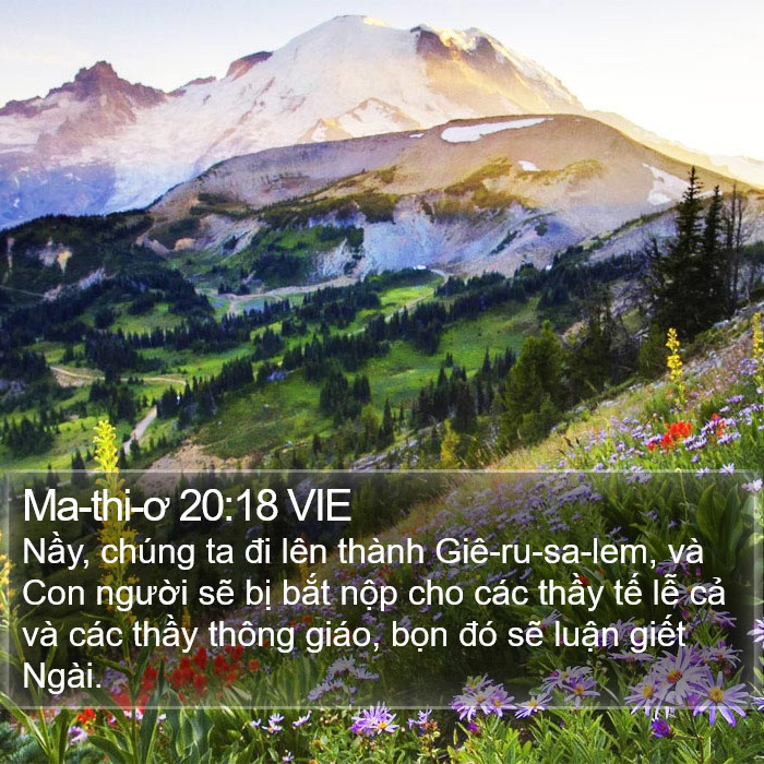 Ma-thi-ơ 20:18 VIE Bible Study