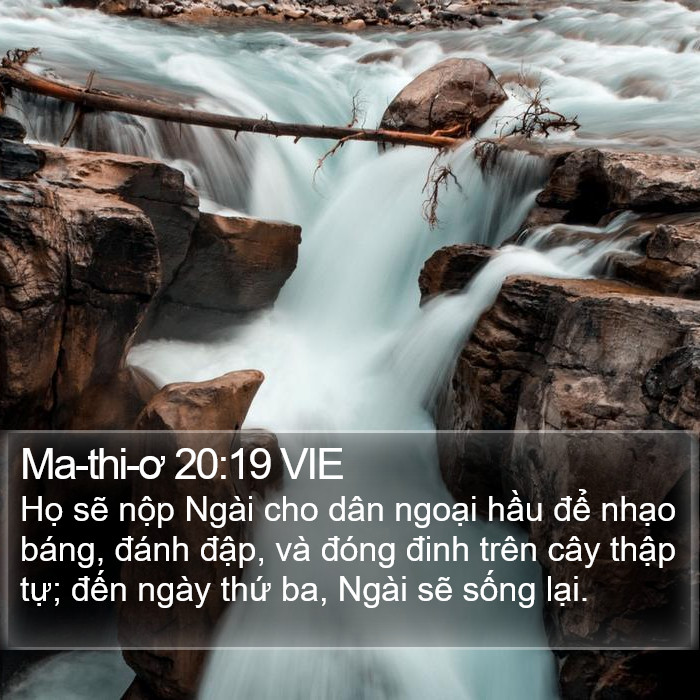 Ma-thi-ơ 20:19 VIE Bible Study