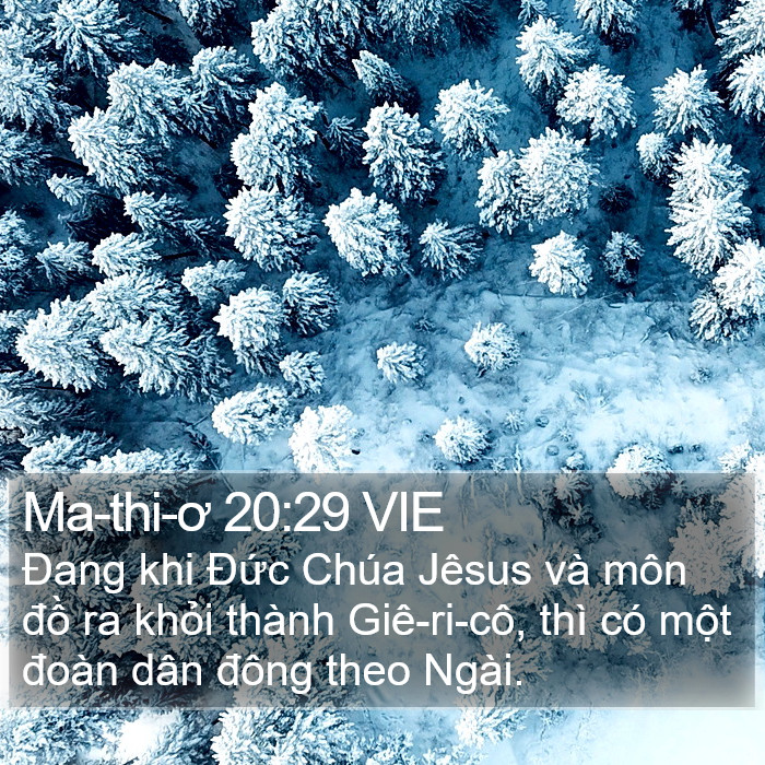 Ma-thi-ơ 20:29 VIE Bible Study