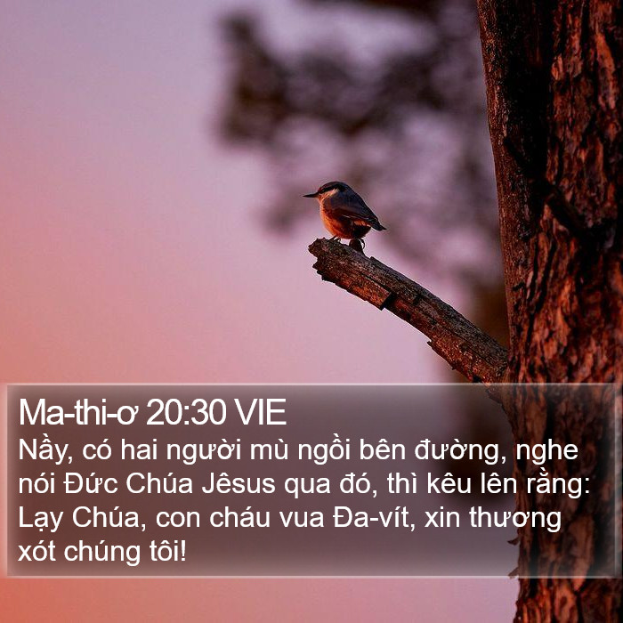Ma-thi-ơ 20:30 VIE Bible Study