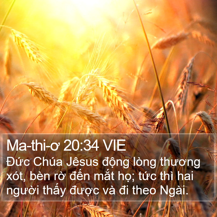 Ma-thi-ơ 20:34 VIE Bible Study