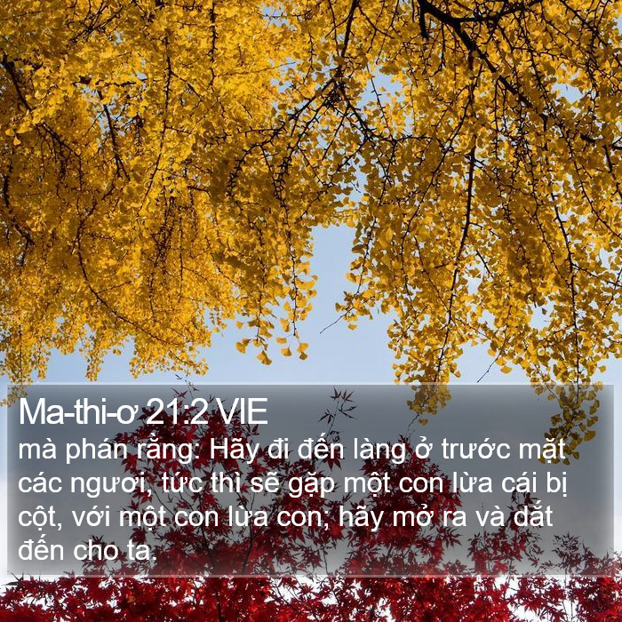 Ma-thi-ơ 21:2 VIE Bible Study