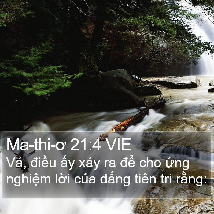 Ma-thi-ơ 21:4 VIE Bible Study