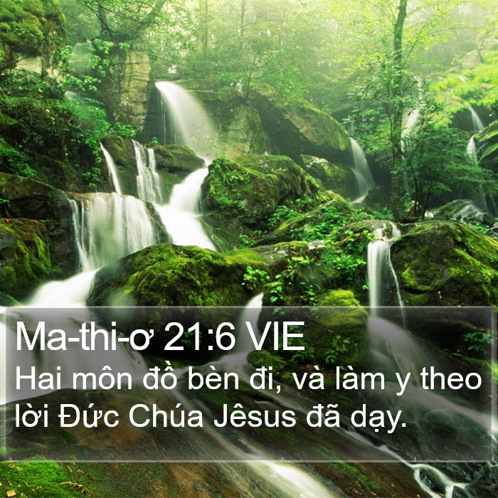 Ma-thi-ơ 21:6 VIE Bible Study