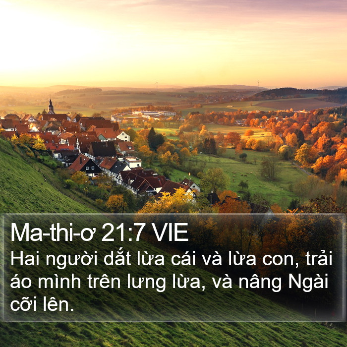 Ma-thi-ơ 21:7 VIE Bible Study