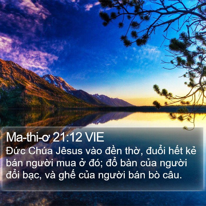 Ma-thi-ơ 21:12 VIE Bible Study