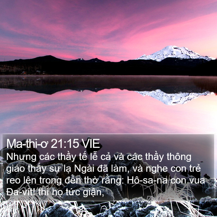 Ma-thi-ơ 21:15 VIE Bible Study