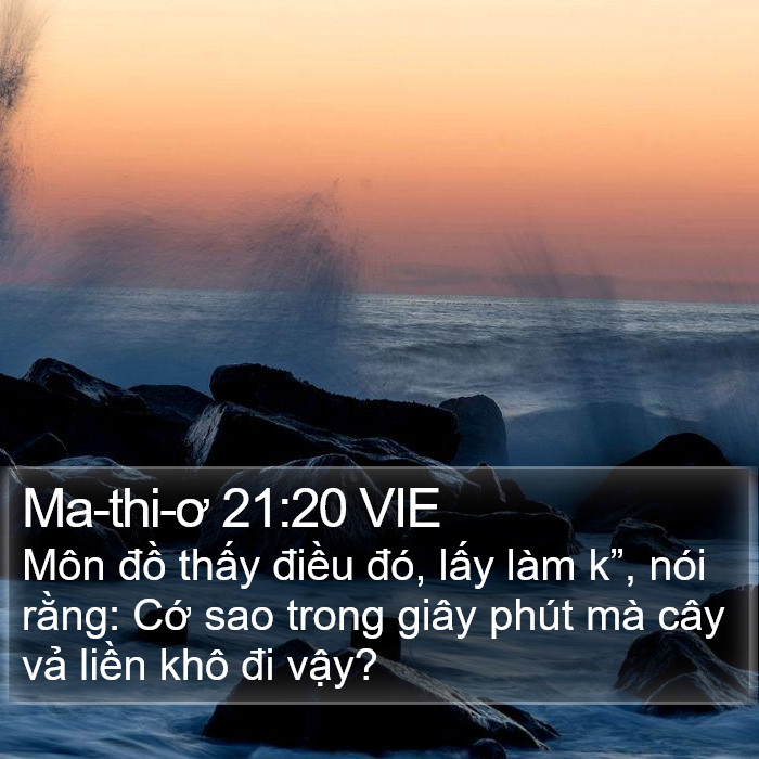 Ma-thi-ơ 21:20 VIE Bible Study