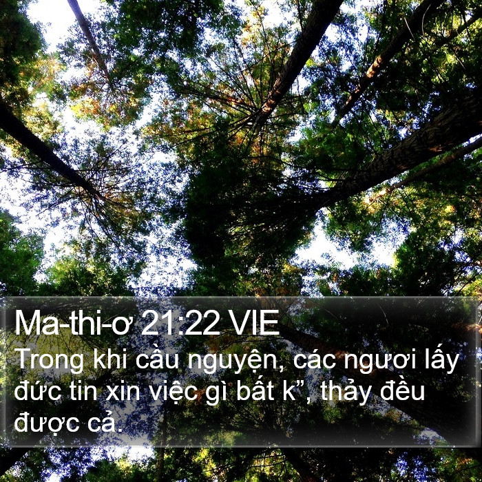 Ma-thi-ơ 21:22 VIE Bible Study