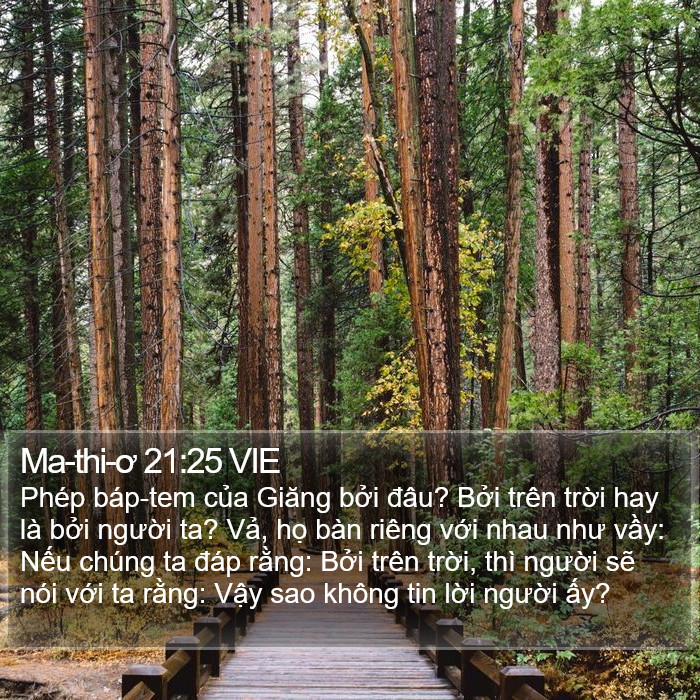 Ma-thi-ơ 21:25 VIE Bible Study