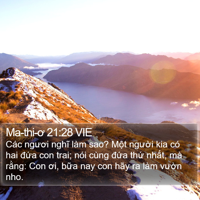 Ma-thi-ơ 21:28 VIE Bible Study