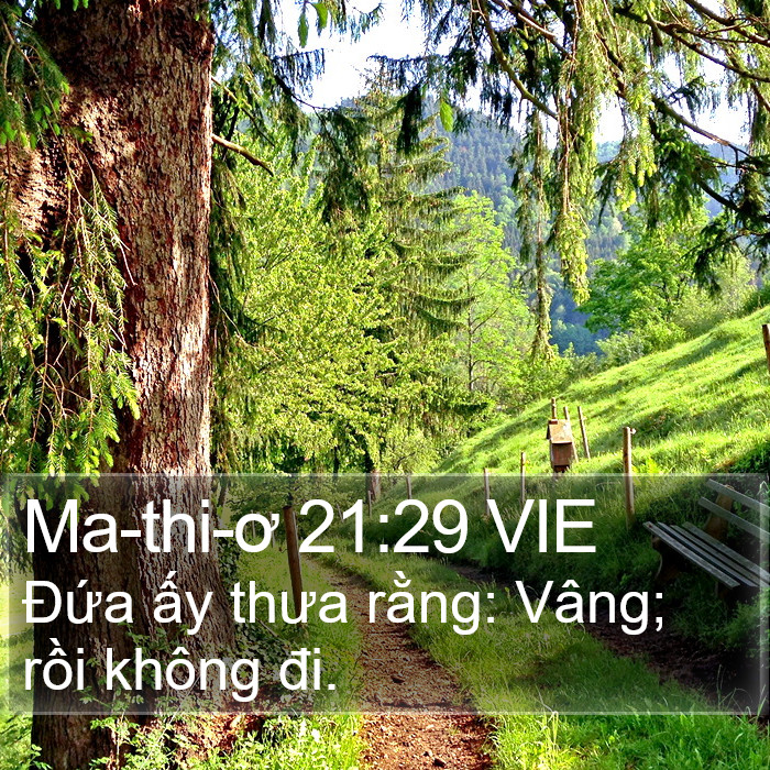 Ma-thi-ơ 21:29 VIE Bible Study