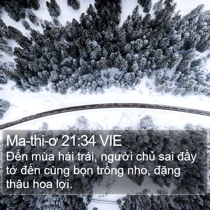 Ma-thi-ơ 21:34 VIE Bible Study