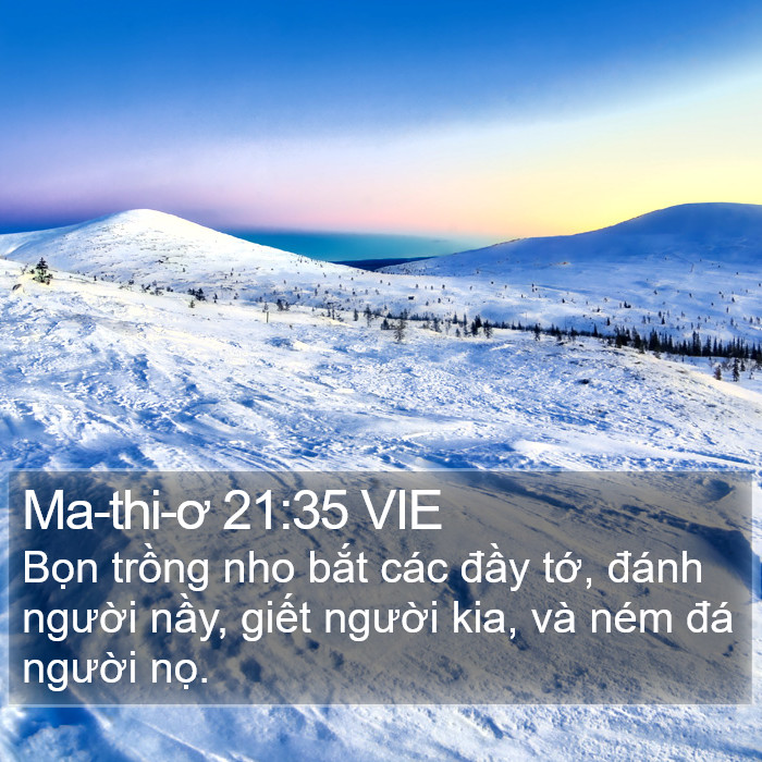 Ma-thi-ơ 21:35 VIE Bible Study