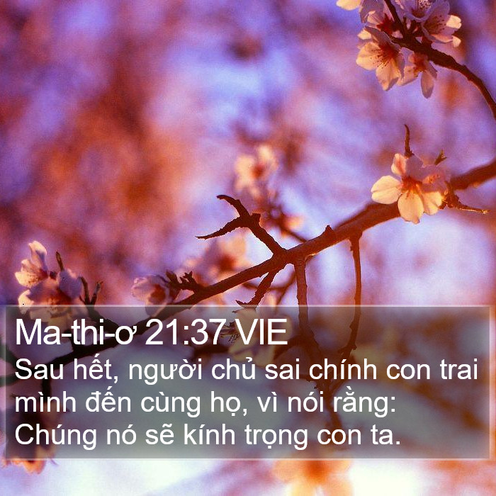 Ma-thi-ơ 21:37 VIE Bible Study