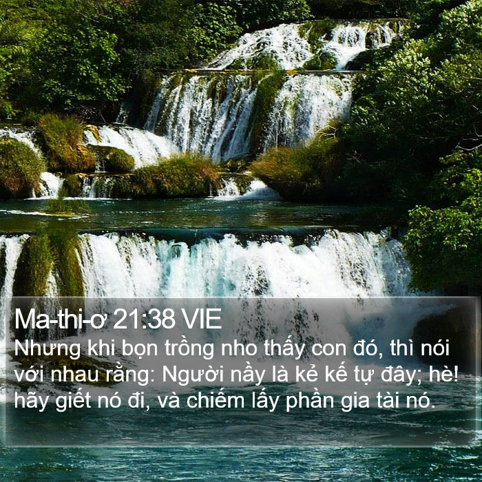 Ma-thi-ơ 21:38 VIE Bible Study