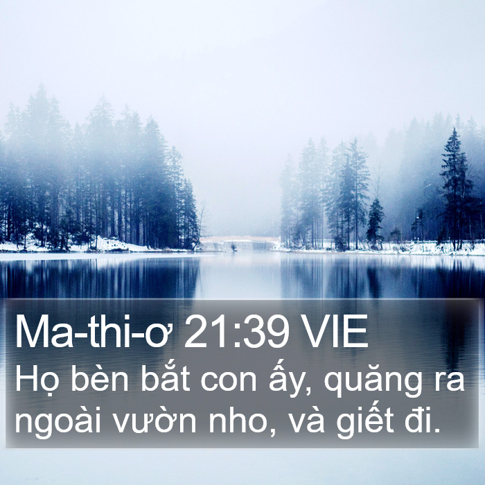 Ma-thi-ơ 21:39 VIE Bible Study