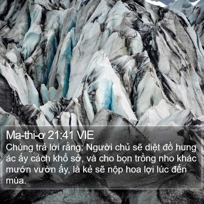 Ma-thi-ơ 21:41 VIE Bible Study