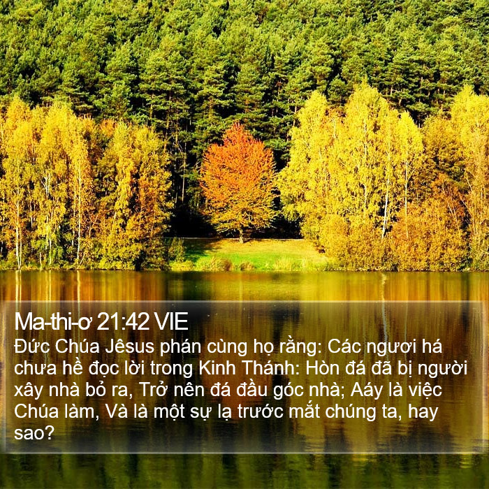 Ma-thi-ơ 21:42 VIE Bible Study