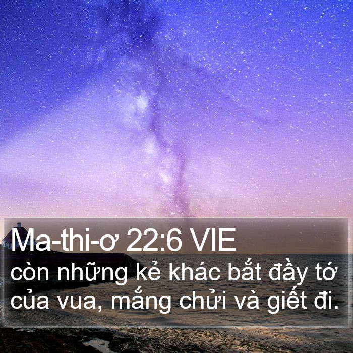 Ma-thi-ơ 22:6 VIE Bible Study
