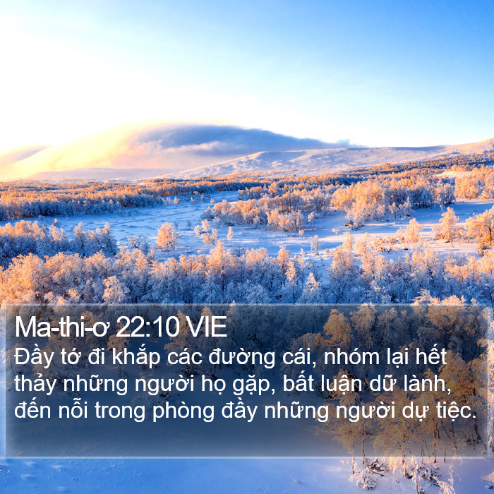 Ma-thi-ơ 22:10 VIE Bible Study