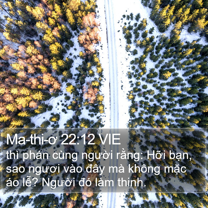 Ma-thi-ơ 22:12 VIE Bible Study