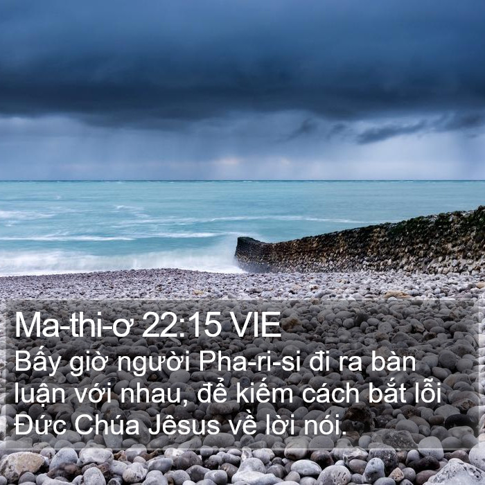 Ma-thi-ơ 22:15 VIE Bible Study