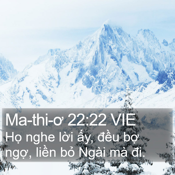 Ma-thi-ơ 22:22 VIE Bible Study