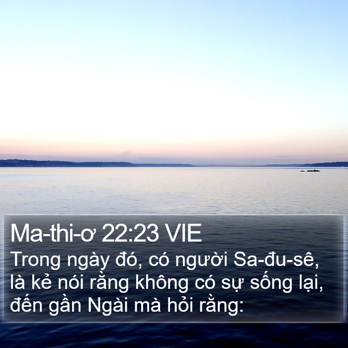 Ma-thi-ơ 22:23 VIE Bible Study