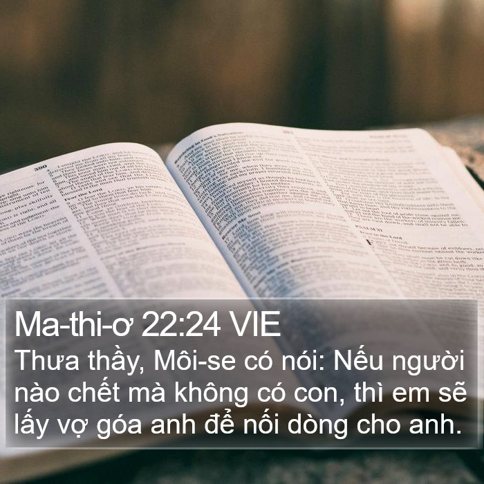 Ma-thi-ơ 22:24 VIE Bible Study