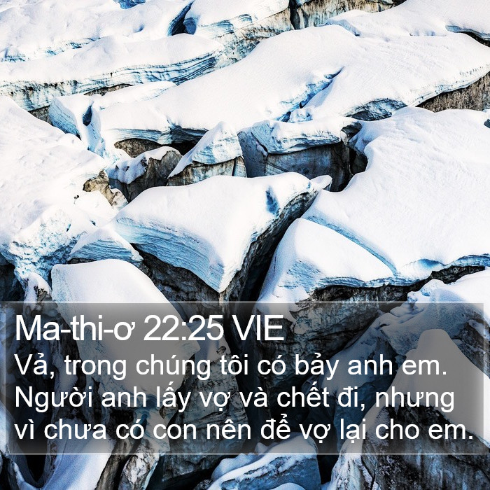 Ma-thi-ơ 22:25 VIE Bible Study